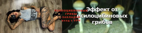 шишки Абинск
