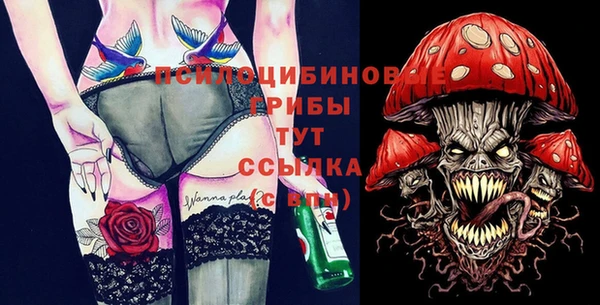 шишки Абинск