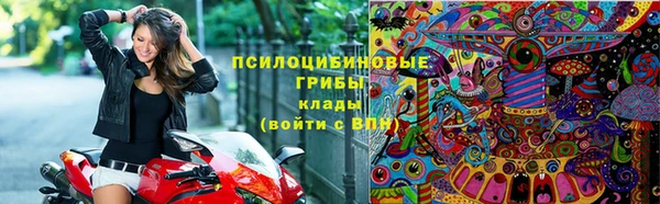 PSILOCYBIN Абаза