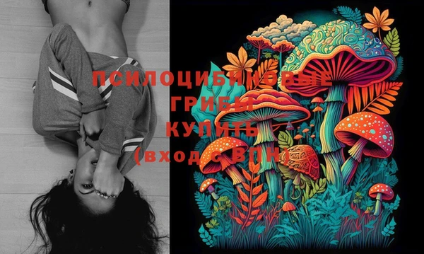 шишки Абинск